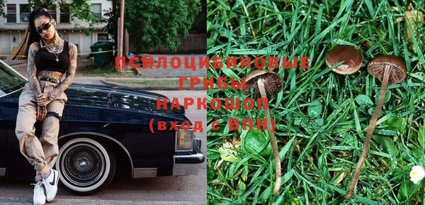 спиды Богородск