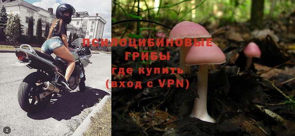 спиды Богородск