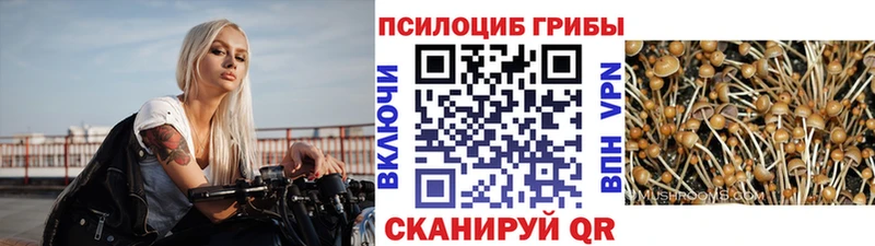 где купить наркотик  Выкса  Галлюциногенные грибы Magic Shrooms 